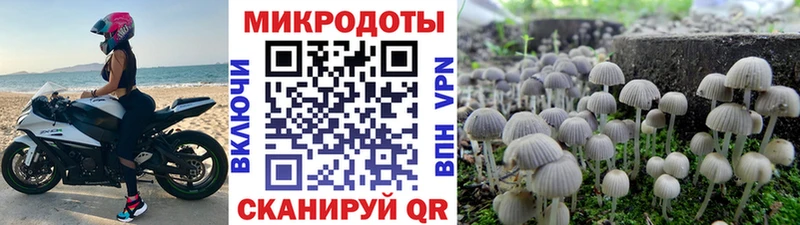 гидра Ясногорск Галлюциногенные грибы Magic Shrooms как найти наркотики
