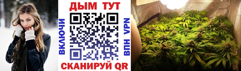 mega зеркало купить наркотик Ясногорск Конопля White Widow